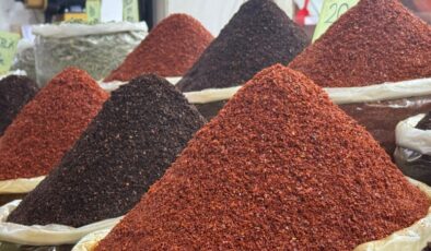 Pul biber ihracatı artarak sürüyor
