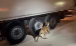 Şanlıurfa’da 24 kilogram sentetik uyuşturucu ele geçirildi