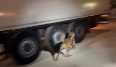 Şanlıurfa’da 24 kilogram sentetik uyuşturucu ele geçirildi