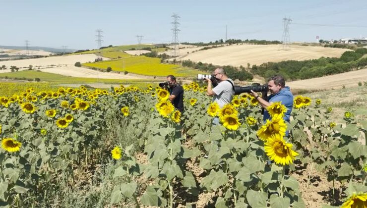 Sarı gelin Trakya’yı objektiflere taşıdı