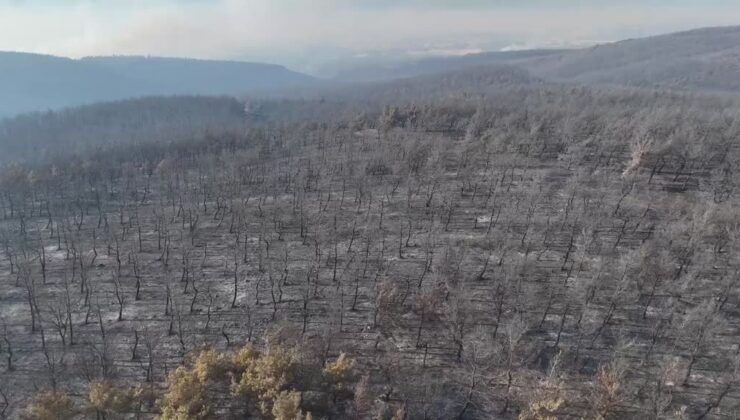 Şarköy’de alevlerle 21 saatlik savaş: 3 köy boşaltıldı
