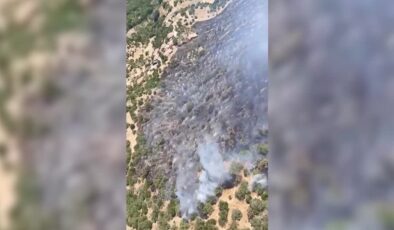 Savaştepe’deki ormanlık alanda çıkan yangına müdahale sürüyor