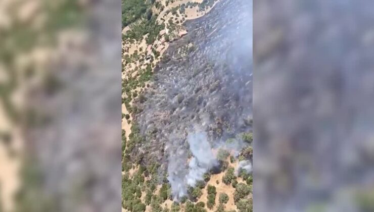 Savaştepe’deki ormanlık alanda çıkan yangına müdahale sürüyor