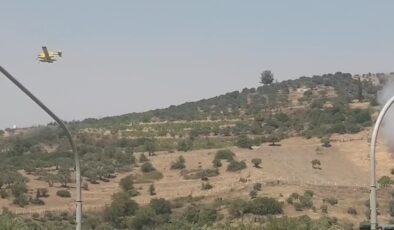 Selçuk ilçesinde ziraat alanında çıkan yangına müdahale ediliyor