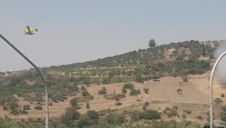 Selçuk ilçesinde ziraat alanında çıkan yangına müdahale ediliyor