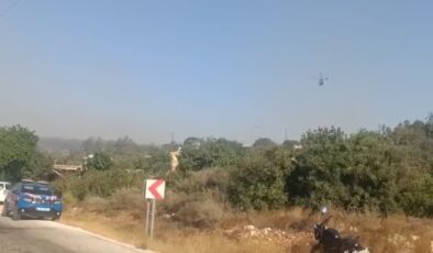 Silifke ilçesinde çıkan orman yangınına müdahale ediliyor