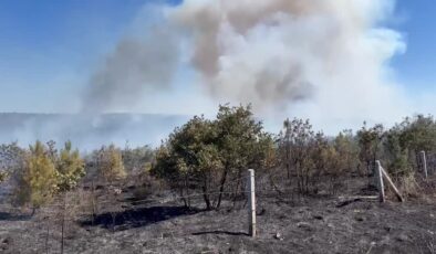 Silivri’de ormanlık alanda çıkan yangına müdahale ediliyor