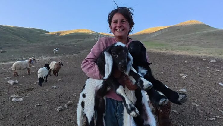 Soğuk gece, sıcak emek: Göçerlerin yayla hayatı nefes kesiyor