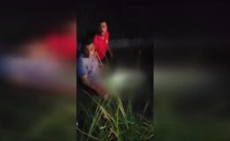 Sulama kanalına düşen kişi boğuldu