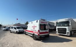 Tır sürücüsü aracında ölü bulundu