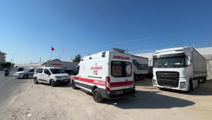 Tır sürücüsü aracında ölü bulundu