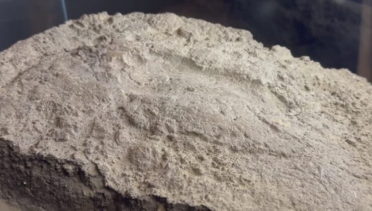 Urartulara ait kadın ayak izi Van Müzesi’nde ilk kez sergileniyor