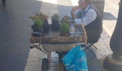 Geçimini el arabasında sattığı balkon çiçekleriyle sağlıyor