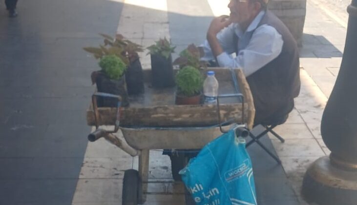 Geçimini el arabasında sattığı balkon çiçekleriyle sağlıyor