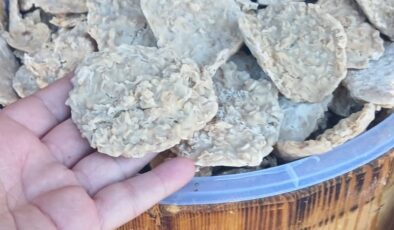 Yoğurtlu ev tarhanası tezgahları süslüyor: Kilogramı 200 TL’ye Satılıyor