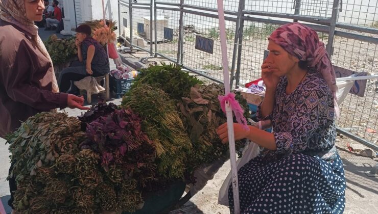 Hevsel’in bereketi kadınların emeğiyle Sur sokaklarına taşınıyor