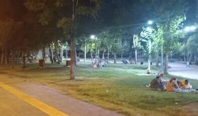 Sıcaktan bunalan Diyarbakırlılar akşamları parklara akın ediyor