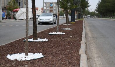 Bismil’de Şehir Estetiğine Dokunuş: Refüjler Yenileniyor