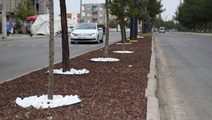 Bismil’de Şehir Estetiğine Dokunuş: Refüjler Yenileniyor