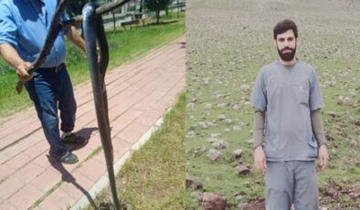 Veteriner Baygut’tan Uyarı: “Yılanlar Kuraklık Nedeniyle Görülüyor, Öldürmeyin”