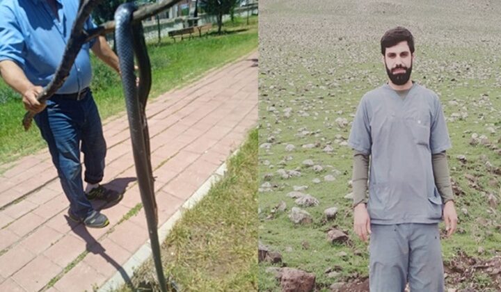 Veteriner Baygut’tan Uyarı: “Yılanlar Kuraklık Nedeniyle Görülüyor, Öldürmeyin”