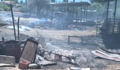Yangında evini ve ahırını kaybetti, alevlerden kurtulan 4 ineği tesellisi oldu