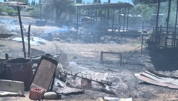 Yangında evini ve ahırını kaybetti, alevlerden kurtulan 4 ineği tesellisi oldu