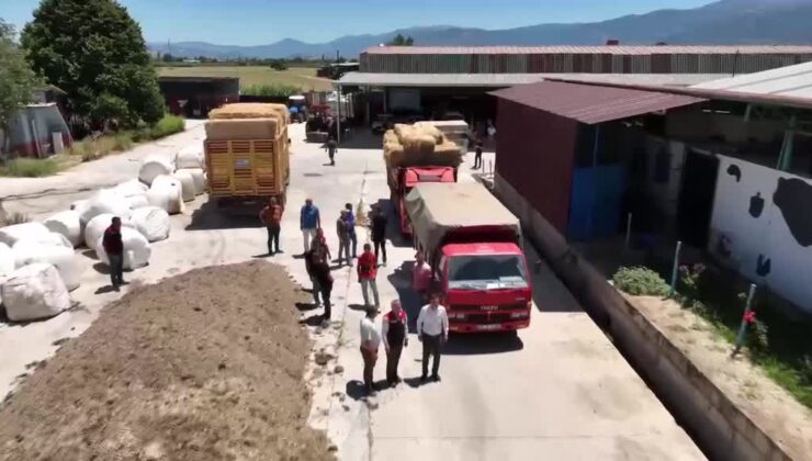 Yangından kurtarılan hayvanlar üretim tesisinde bakıma alındı