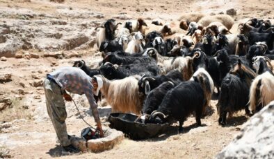 Yazın 40 dereceyi aşan sıcağa 300 yıllık çözüm