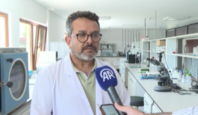 Yazın soğuk zinciri kırılan gıdalar hastalıklara davetiye çıkarıyor