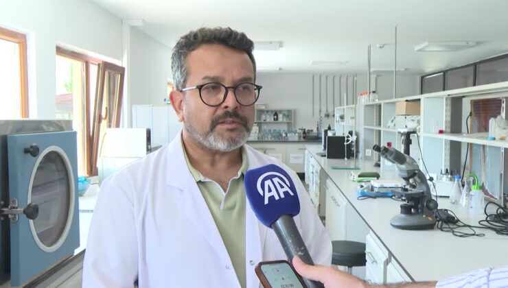 Yazın soğuk zinciri kırılan gıdalar hastalıklara davetiye çıkarıyor