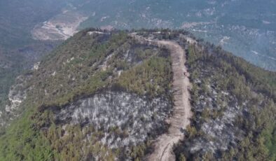 Yeşil vatan için alevlerin ortasında 6 gündür nöbetteler