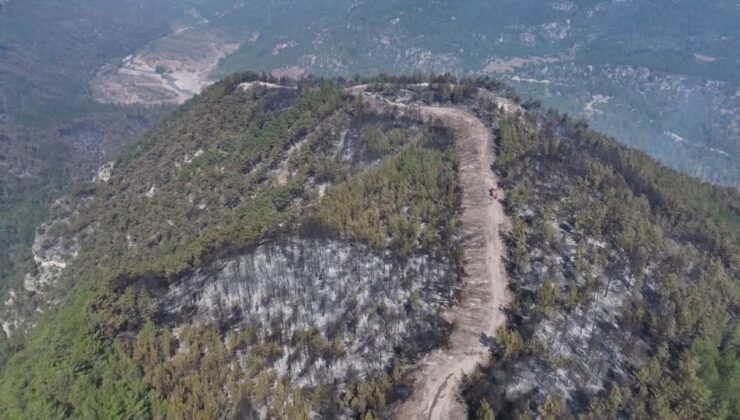 Yeşil vatan için alevlerin ortasında 6 gündür nöbetteler