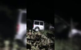 Mudurnu’da yola çıkan geyik ölümlü zincirleme kazaya neden oldu