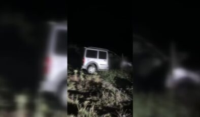 Mudurnu’da yola çıkan geyik ölümlü zincirleme kazaya neden oldu