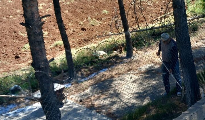 Haşerelereler ile Mücadele Devam Ediyor