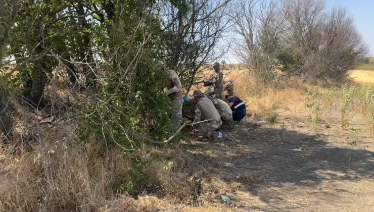 Başından tabancayla vurulmuş kadın cesedi budundu