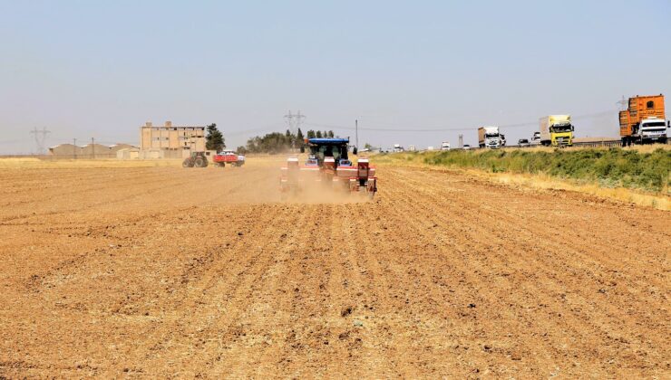 Kaçak sulama hem su kaynaklarını hem enerjiyi zorluyor