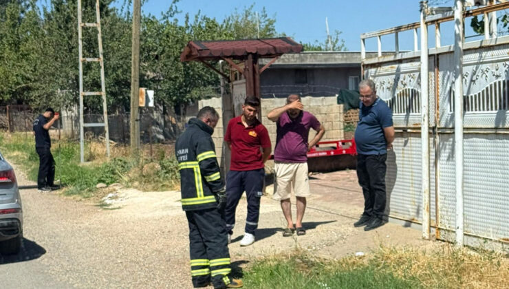 Evin mutfağına giren yılanı itfaiye ekibi yakaladı