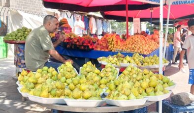 İlk incirler tezgahlarda yerini aldı: Kilosu 300 TL