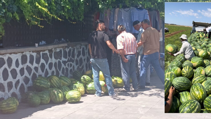 Hasadı yapılınca karpuzun ateşi söndü