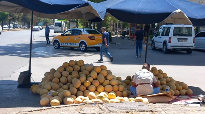 Bal Kavun Hasadı Artıkça Fiyatı Düştü