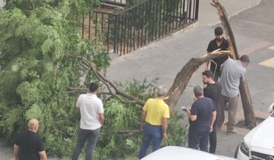 Diyarbakır’da Rüzgar Ağaçları Devirdi