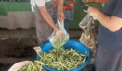 Taze fasulye tezgahlardaki yerini aldı