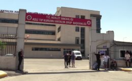Otomobilin kaldırımda çarptığı üniversite öğrencisi öldü