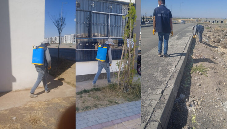 Pasurun Sesi’nin haberi ses getirdi: Oğlaklı TOKİ’de ilaçlama çalışmaları başladı