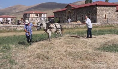 100 yıllık gelenek canlandı: Harman Festivali başladı