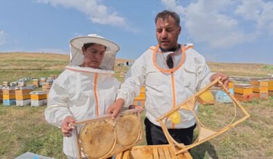 Teknolojiden uzak yaz tatili: Arılarla geçen günler