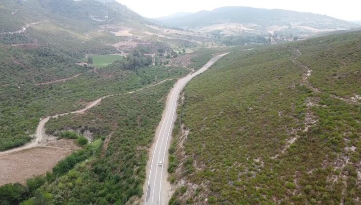 4 yıl önce yanan alanlar, dikilen fidanlarla yeniden yeşerdi