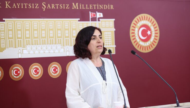 DEM Partili Çelenk: “Çocuğun işçisi olmaz, okulda ücretsiz yemek ve süt desteği sağlanmalı”